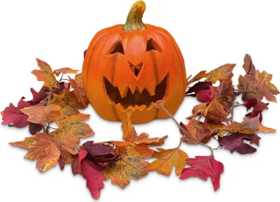 Produktbild von XXL Halloween-Kürbis Set 25 cm groß mit Herbstgirlande und LED-Teelicht