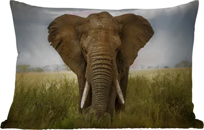 Produktbild von MuchoWow® Outdoor Kissen - Elefant - Natur - Gras - Tiere - Landschaft - 50x30 cm - Wetterfest - Lounge Kissen - Sofa kissen - Wohnzimmer Dekoration