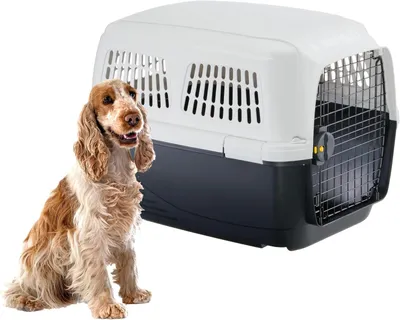 Produktbild von Hundetransportbox – Transportbox für Haustiere – Sicheres Reisen – IATA- – 71 x 50 x 51 cm – Grau