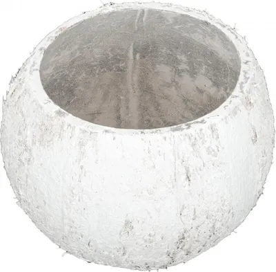 Produktbild von Kokos Becher weiß Ø 10-13cm