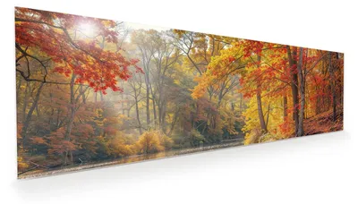 Produktbild von Glasbild 120x40cm in XXL für Wohnzimmer, Schlafzimmer Motiv Herbstwald See