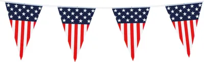 Image de ligne de drapeau usa 30x20cm 6 mètres