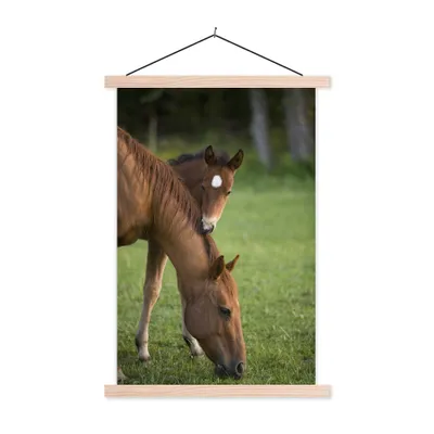 Produktbild von MuchoWow® Textilposter Pferde - Gras - Porträt 40x60 cm mit holzfarbenen Rahmen - Poster