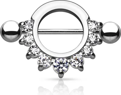 Produktbild von Brustwarzen Piercing Nippelpiercing Brustpiercing Nipple Shield Schild Zirkonia Kristalle