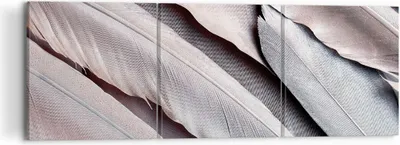 Produktbild von Bild auf Leinwand - Leinwandbild - 3 Teile - Federn Flügel Feder - 120x40cm - Wand Bild - Wanddeko - Wandbilder - Leinwanddruck - Bilder - Wanddekoration - Leinwand bilder - Wandbild - CA120x40-5114