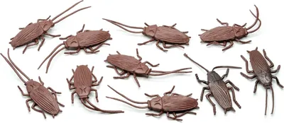 Produktbild von 10x Kakerlacken Aufstellfigur Miniblings Schaben Küchenschaben Insekten braun
