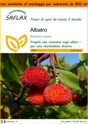 Immagine prodotto di SAFLAX Garden in the bag - Albatro - 50 semi - Arbutus