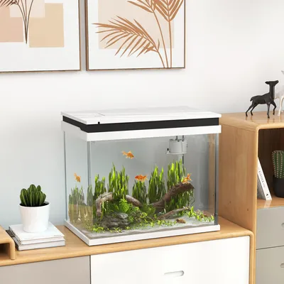Produktbild von Filtersystem & Wasserpumpe, Aquarium 41 Liter mit LED-Beleuchtung, Glasbecken, Weiß | 10,4 kg | 48 x 30 x 41 cm