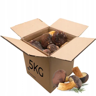 Zdjęcie produktu dla Ładne Podgrzybki Całe Grzyby Mrożone Cold Pack Luz 5Kg Dużo Witamin