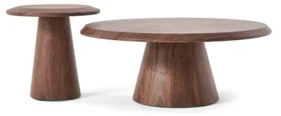 Image de Ensemble élégant pour salon, comprenant une table basse et une table d'appoint