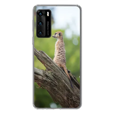 Produktbild von MuchoWow® Handyhülle Schutzhülle Hülle für Huawei P40 Erdmännchen - Ast - Baum Silikon Softcase Handy Hülle - Handytasche