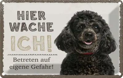 Produktbild von vianmo Blechschild 20x30 cm Pudel hier wache eigene Gefahr Hund