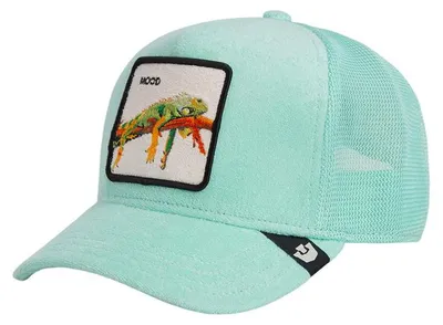 Produktbild von Goorin Bros. Trucker Cap Terry Cloth Iguana gummy