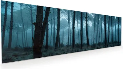 Produktbild von Glasbild 120x40cm in XXL für Wohnzimmer, Schlafzimmer Motiv Nebeliger Wald