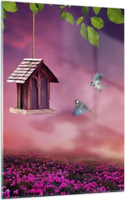 Produktbild von Bilder auf glas - Einteilig - Vögel Wiese Garten Dekoration - 50x70cm - Glasbilder - Wandbilder - Bilder - Wanddekoration aus Glas - Glas Bilder - Wandbild auf Glas - GPA50x70-3115