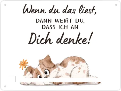 Produktbild von Hund Metallschild XL in 21x28 cm mit Spruch Ich denke an dich