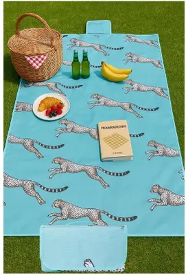 Productafbeelding van Waterdichte picknickdeken - Opvouwbaar - Draagbaar - Zandbestendig - 200 x 150 cm