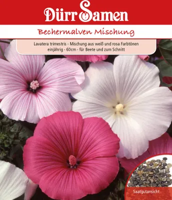 Produktbild von Dürr-Samen - Bechermalve Mischung weiß und rosa einjährig 60 cm - Saatgut - 1931