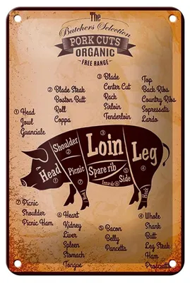 Produktbild von Blechschild Metzger 12x18cm Pork cuts Organic free Schwein