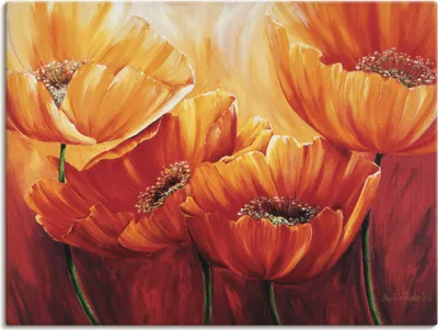 Produktbild von ARTland Leinwandbild Vier Mohnblumen Größe: 60x45 cm