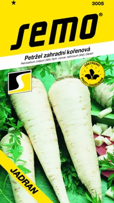 Obrázok produktu pre PETRŽLEN koreňový neskorý Jadran