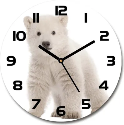 Produktbild von Wanduhr aus Glas 30fi Glasbild Glasuhr Gehärtetes Glas - schwarze-zeiger - A polar bear