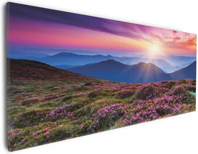 Produktbild von Wallario Premium Leinwandbild Blumenbedeckte Wiese bei Sonnenuntergang in Größe 30 x 75 cm