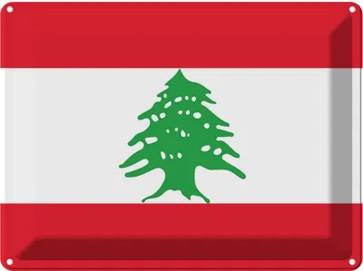 Produktbild von vianmo Blechschild 30x40 cm Libanon Lebanon Flagge Fahne Wappen