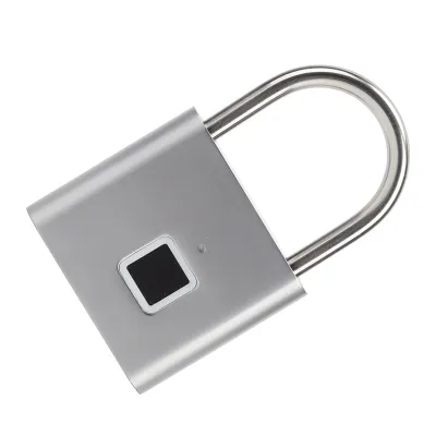 Image de Cadenas à empreinte digitale,Serrure à empreinte digitale,Cadenas à empreinte digitale,Cadenas à empreinte de pouce,Serrure à empreinte digitale,Cadenas intelligent