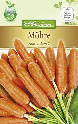 Produktbild von Möhre Amsterdam 2 | Möhrensamen von N.L. Chrestensen