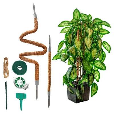 Produktbild von Monstera Rankhilfe 70cm & 120cm Pflanzenstütze aus Kokosfasern mit Zubehör