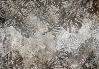 Produktbild von Vlies Fototapete tropische Blätter 450x315 cm Tapeten Wandtapete XXL Palmenblätter Monstera grau b-C-0825-a-a