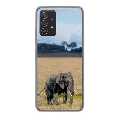 Produktbild von MuchoWow® Handyhülle Schutzhülle Hülle für Samsung galaxy a73 Elefant - Gras - Tiere - Natur Silikon Softcase Handy Hülle - Handyhülle