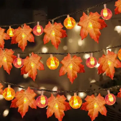 Produktbild von Lichterkette Herbst, 6M 40LED, Lichterkette Warmweiß,Lichtervorhang