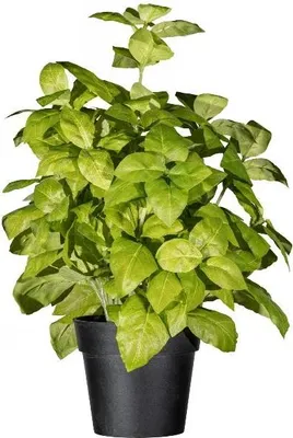 Produktbild von artplants.de Plastik Basilikum WONDYR im Dekotopf, grün, 30cm - Künstliches Kraut