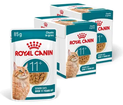 Produktbild von Royal Canin Ageing 11+ Nassfutter 24x85g Stückchen in Soße Für ausgewachsene Katzen ab 11 Jahren