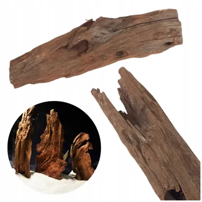 Produktbild von Aquarium Wurzel Mangrovenholz, natürliche Deko Wurzel 30 cm für Aquarium, Süßwasserbecken, ideal für Pflanzen und Verstecke