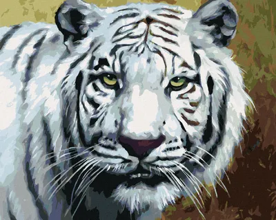 Produktbild von Zuty - Malen nach Zahlen - WEISSER TIGER ANSICHT PORTRÄT (D. RUSTY RUST), 40x50 cm, mit Keilrahmen (bereits gespannt)