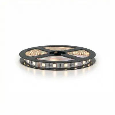 Obrázek produktu pro MasterLED LED pás RGB plus teplá bílá 2700 až 3200K 12V 5 m SMD 5050 300 LED IP20