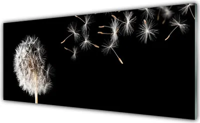 Produktbild von Acrylglasbilder 125x50 Wandbild Druck Pusteblume Pflanzen