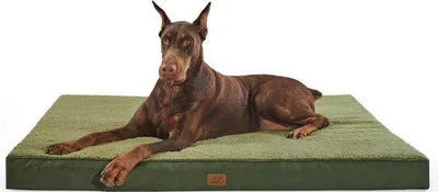 Immagine prodotto di Cuccia ortopedica per cani, grande, 137x111x10 cm, verde scuro, lavabile