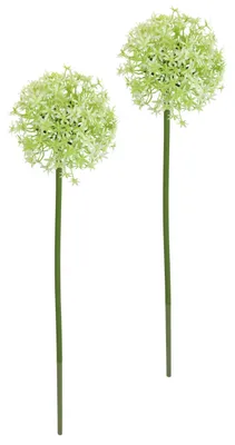 Kunstblume Allium Zierlauch, grün, 2 Stück, 80 cm