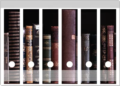 Produktbild von Wallario Ordnerrücken Sticker, selbstklebend für breite Ordner, 6 Stück, Motiv Bücherregal mit alten Büchern