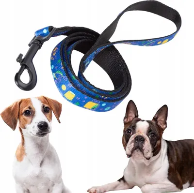 Produktbild von Traditionelle Leine für einen kleinen mittelgroßen Hund mit einem Griff und einem modischen Druck s