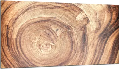 Produktbild von Herdabdeckplatte Glaskeramikkochfeld-Abdeckung Spritzschutz Glas 90x52 Holz