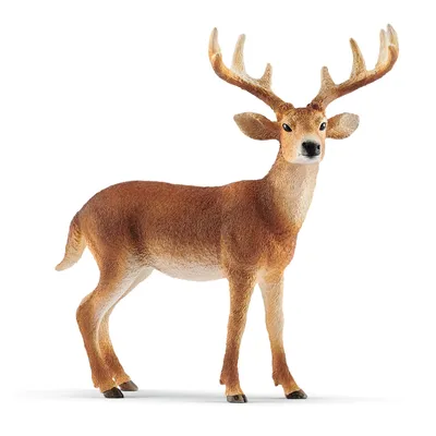 Produktbild von Schleich Weißwedelhirsch, 14818