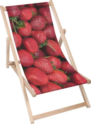Produktbild von Dreamroots Liegestuhl klappbar Holz, Buchenholz bis zu 130 kg, Sonnenliege klappbar mit 3-stufiger Neigungsregulierung der Rückenlehne, Strawberries