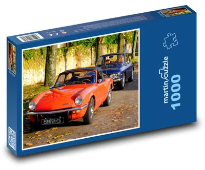 Zdjęcie produktu dla Puzzle 1000 Klasyczne veterany na jesiennej drodze - martinpuzzle