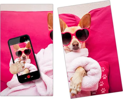 Produktbild von Spritzschutz Herdabdeckplatte Schneidebrett aus Glas Hund mit Sonnenbrille 2-Teilig (60x52cm)