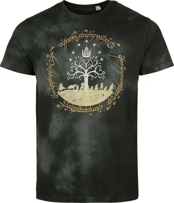 Produktbild von Der Herr der Ringe T-Shirt Herren The Journey grün S